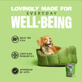 Load image into Gallery viewer, Barking Heads Bowl Lickin' Goodness Lamb Wet Dog Food - All Hounder 300g