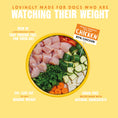 Load image into Gallery viewer, Barking Heads Fat Dog Slim Light Wet Dog Food - Chicken 300g