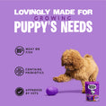 Load image into Gallery viewer, Barking Heads Puppy Days Wet Chicken Dog Food 300g