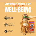 Load image into Gallery viewer, Barking Heads Bowl Lickin' Goodness Chicken Dry Dog Food - All Hounder