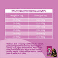 Load image into Gallery viewer, Barking Heads Fuss Pot Duck Dry Dog Food - All Hounder