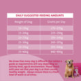 Load image into Gallery viewer, Barking Heads Golden Years Chicken Dry Dog Food - All Hounder 2kg