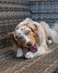 Load image into Gallery viewer, Eden Blueberry Milk Chew for Dogs