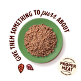 Load image into Gallery viewer, Lily's Kitchen Paté for Cats Lamb 85g