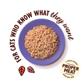 Load image into Gallery viewer, Lily's Kitchen Paté for Mature Cats Chicken 85g