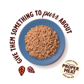 Load image into Gallery viewer, Lily's Kitchen Paté for Cats Turkey & Duck 85g