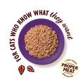 Load image into Gallery viewer, Lily's Kitchen Paté for Mature Cats Cod & Chicken 85g