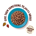 Load image into Gallery viewer, Lily's Kitchen Tasty Cuts White Fish, Salmon & Prawn Cat Food 85g