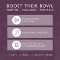 Load image into Gallery viewer, Eden Wild Venison Bone Broth for Cats & Dogs 500ml