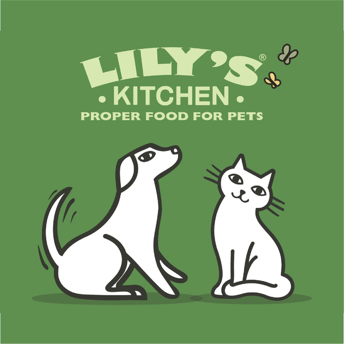 Lily's Kitchen Dog