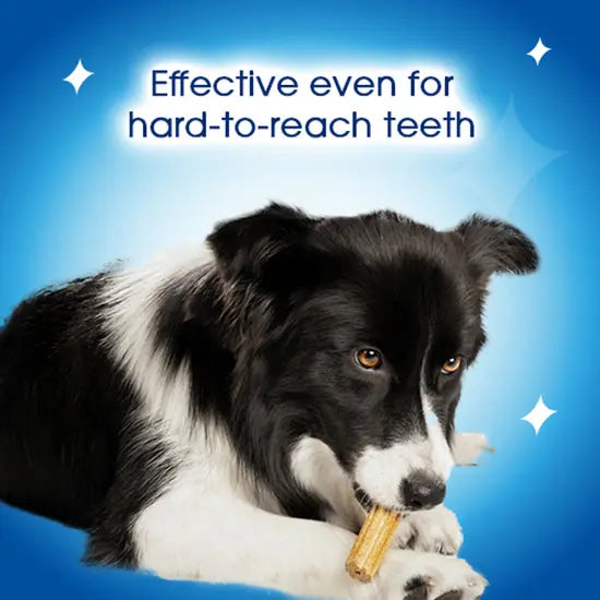 Purina Dentalife Daily Oral Care Dental Chews for Medium Dogs 15pk