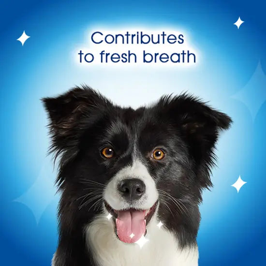 Purina Dentalife Daily Oral Care Dental Chews for Medium Dogs 15pk