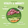 Load image into Gallery viewer, Barking Heads Bowl Lickin' Goodness Lamb Wet Dog Food - All Hounder 300g
