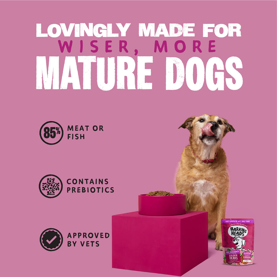 Barking Heads Golden Years Wet Food for Senior Dogs - Chicken & Salmon 300g