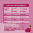 Load image into Gallery viewer, Barking Heads Golden Years Wet Food for Senior Dogs - Chicken & Salmon 300g
