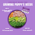 Load image into Gallery viewer, Barking Heads Puppy Days Wet Chicken Dog Food 300g
