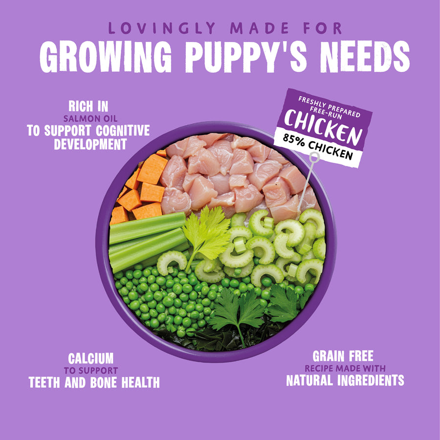 Barking Heads Puppy Days Wet Chicken Dog Food 300g