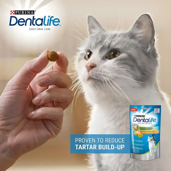 Purina DENTALIFE Everyday Dental Oral Care Chicken Cat Treats