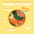 Load image into Gallery viewer, Barking Heads Fat Dog Slim Chicken Light Dry Dog Food - All Hounder
