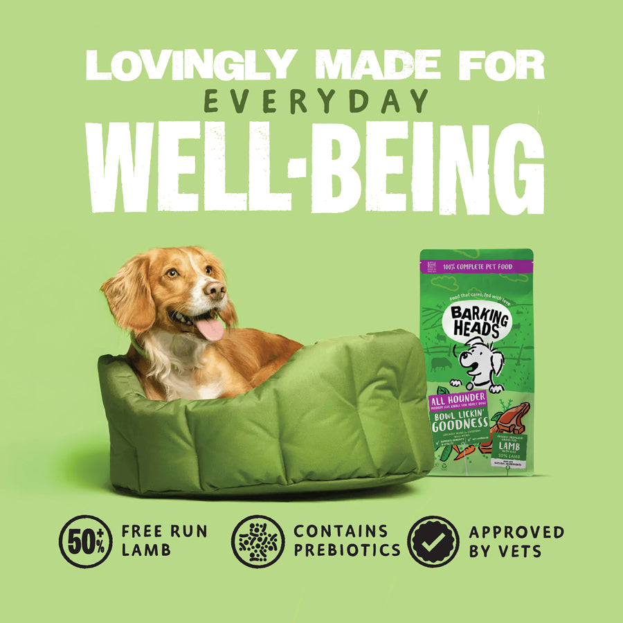 Barking Heads Bowl Lickin' Goodness Lamb Dry Dog Food - All Hounder