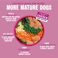 Load image into Gallery viewer, Barking Heads Golden Years Chicken Dry Dog Food - All Hounder 2kg
