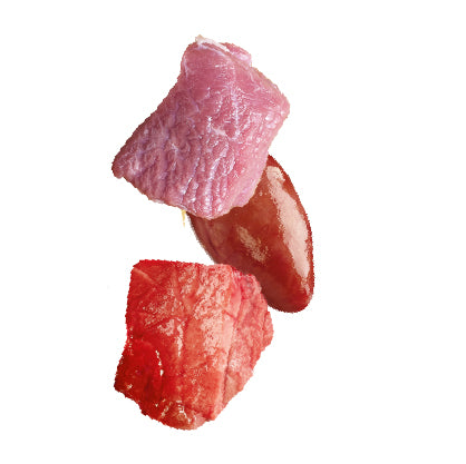 Natures Menu Freeze Dried Lamb Bites 15g