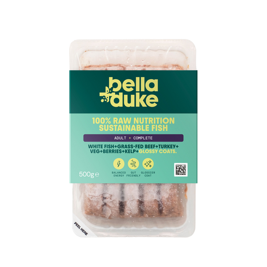 Bella + Duke Adult Complete Fish 500g