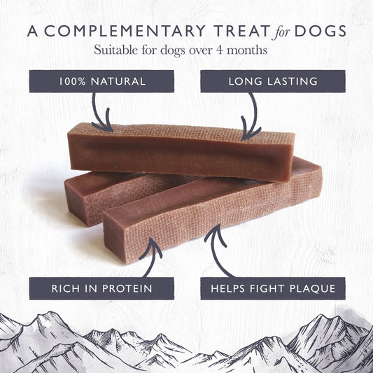 Eden Blueberry Milk Chew for Dogs