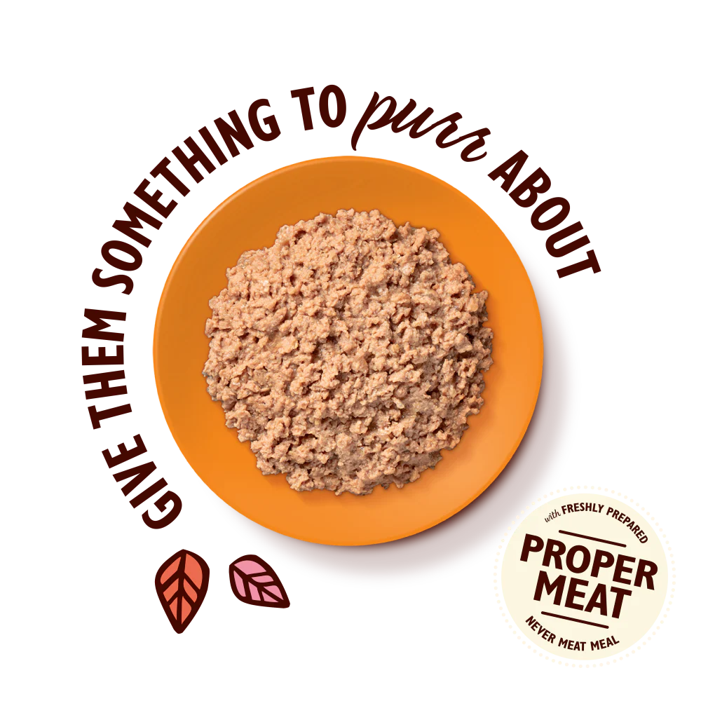 Lily's Kitchen Paté for Cats Chicken 85g