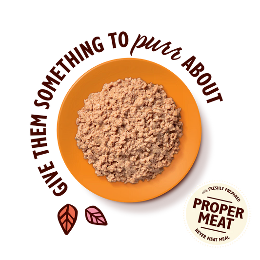 Lily's Kitchen Paté for Cats Chicken 85g