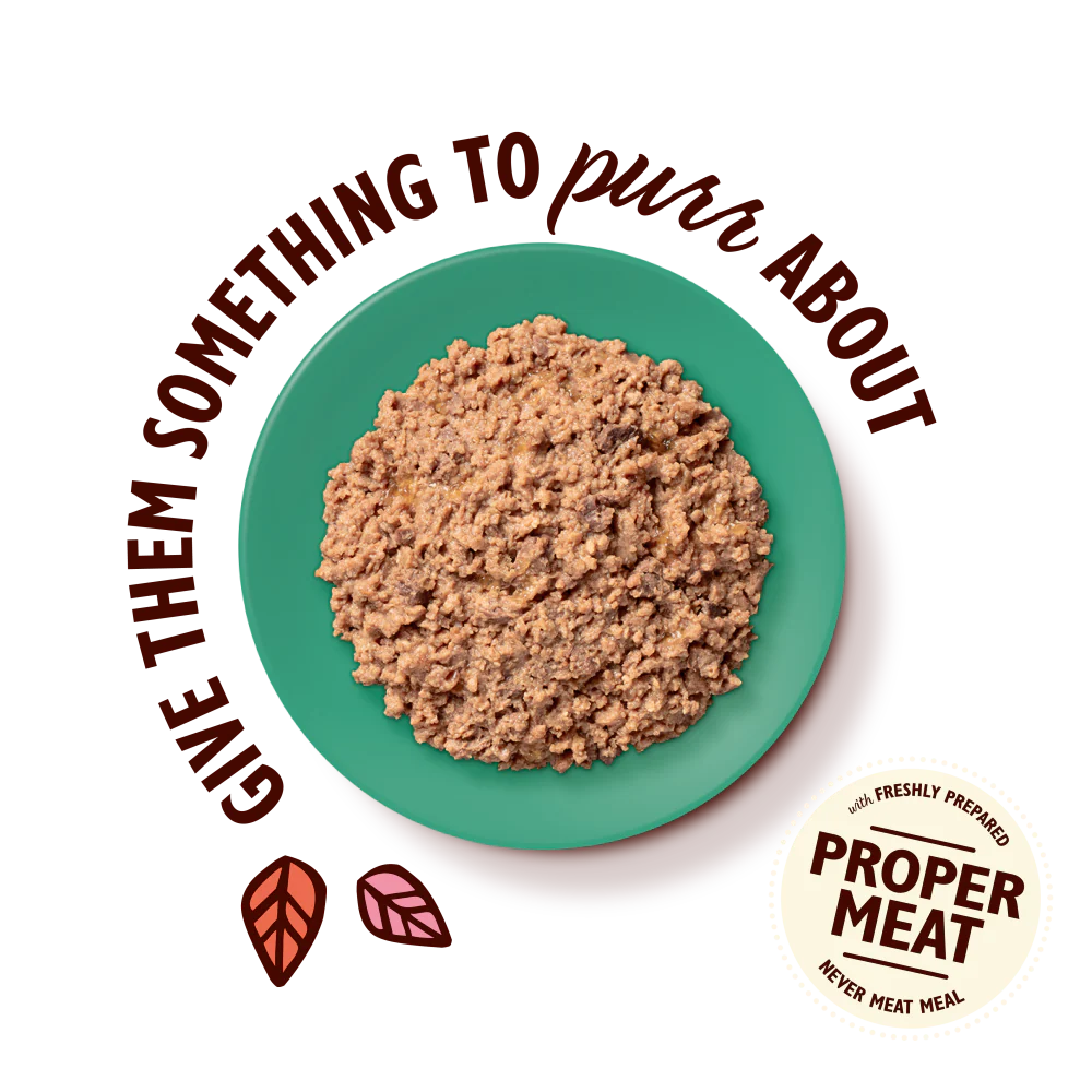 Lily's Kitchen Paté for Cats Chicken & Game 85g