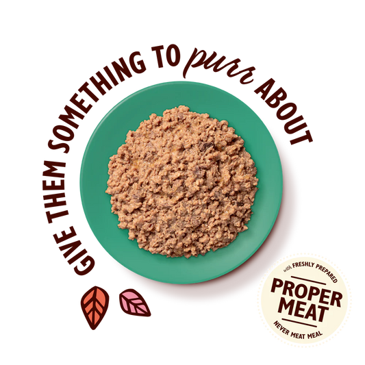 Lily's Kitchen Paté for Cats Chicken & Game 85g