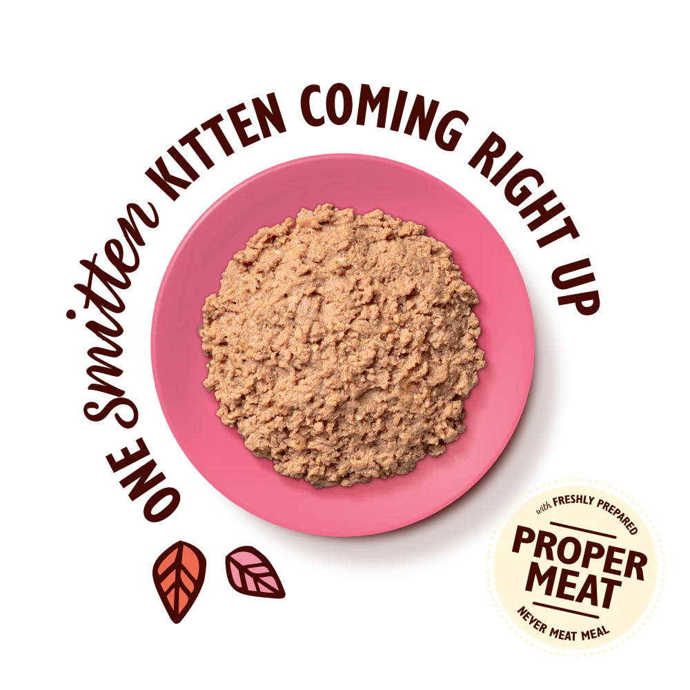 Lily's Kitchen Paté for Kittens Chicken 85g
