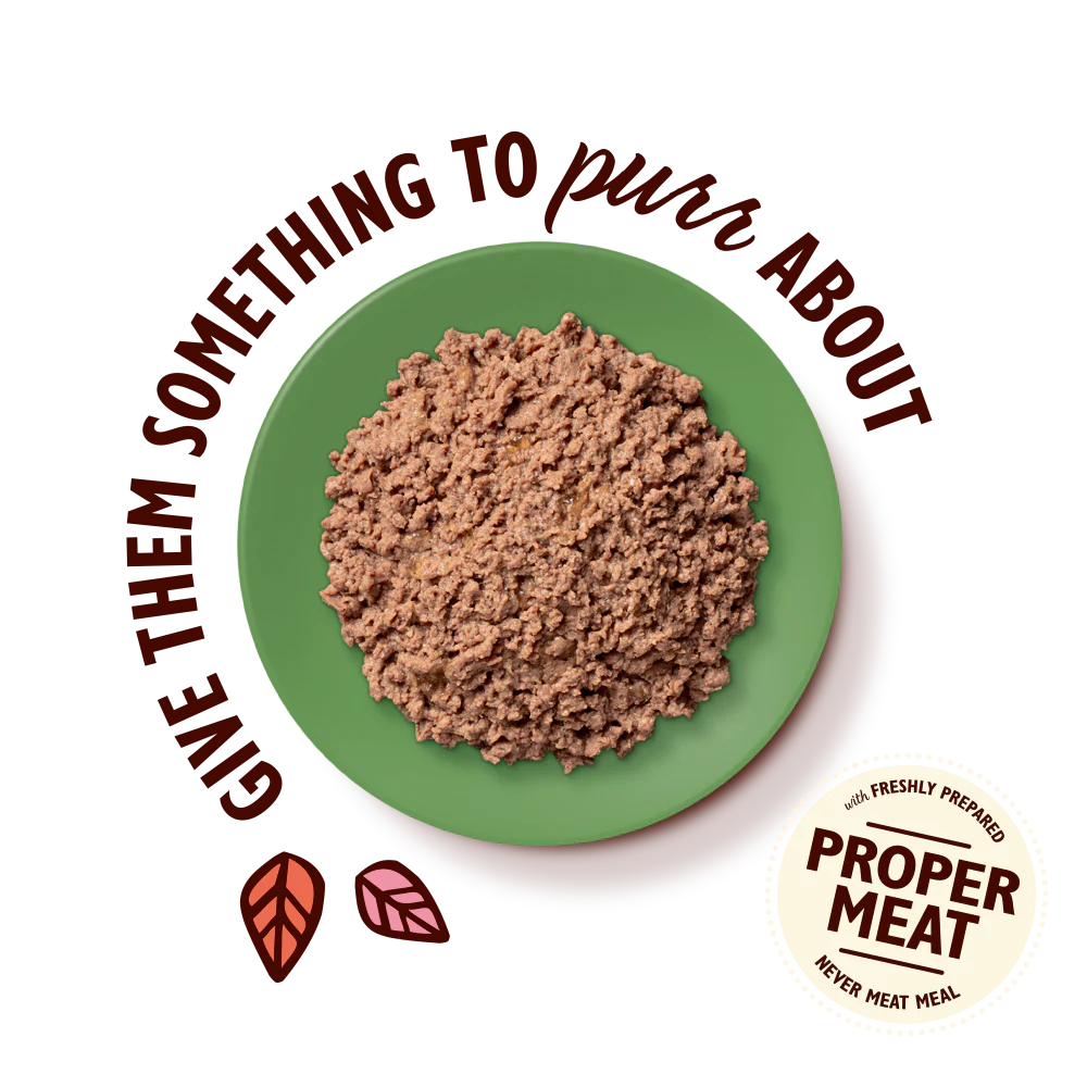 Lily's Kitchen Paté for Cats Lamb 85g