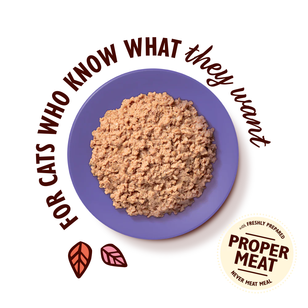 Lily's Kitchen Paté for Mature Cats Chicken 85g
