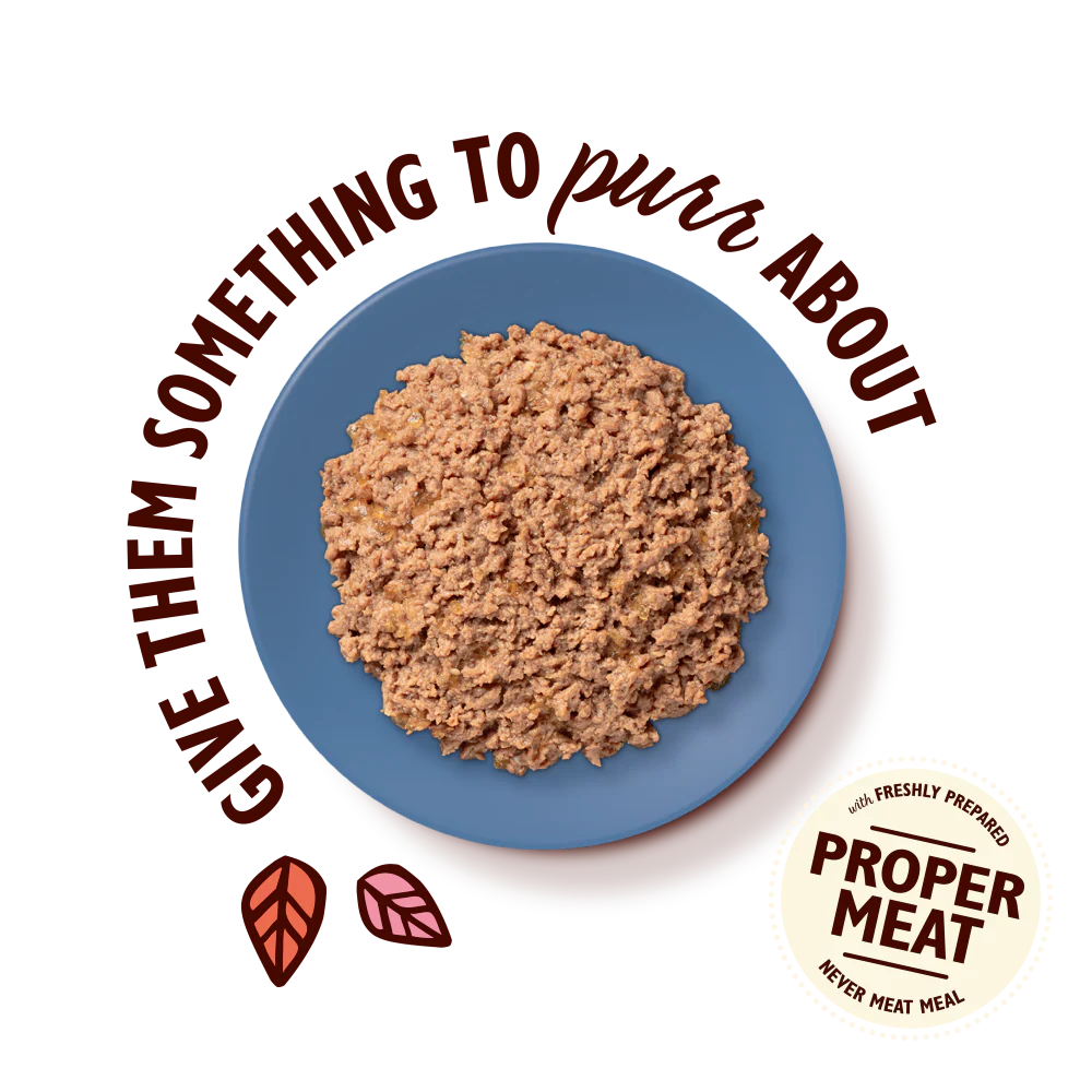 Lily's Kitchen Paté for Cats Turkey & Duck 85g