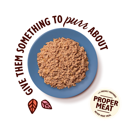 Lily's Kitchen Paté for Cats Turkey & Duck 85g
