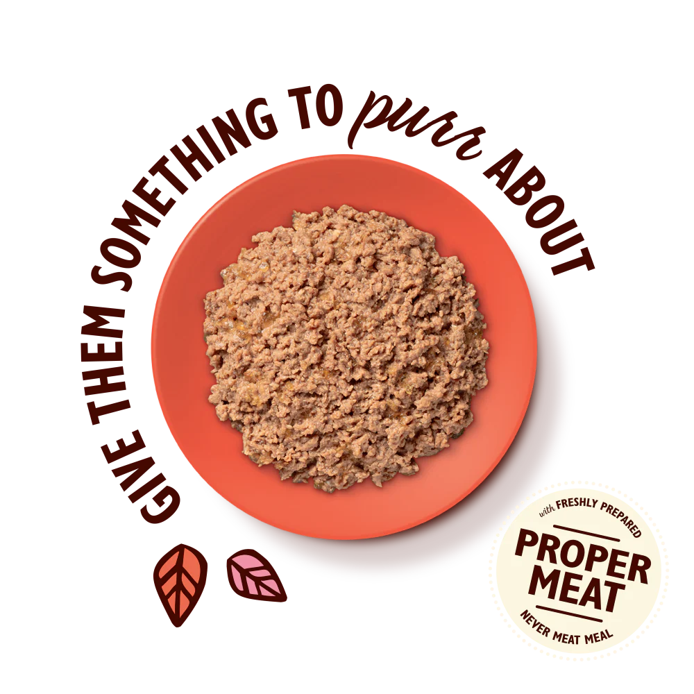 Lily's Kitchen Paté for Cats Salmon & Chicken Pate 85g