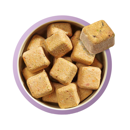 Natures Menu 80% Turkey & Fish for Puppies
