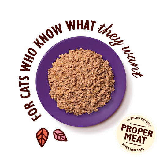 Lily's Kitchen Paté for Mature Cats Cod & Chicken 85g