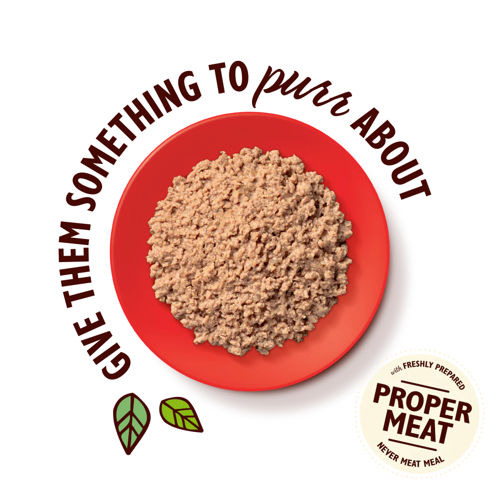 Lily's Kitchen Organic Paté for Cats Beef 85g