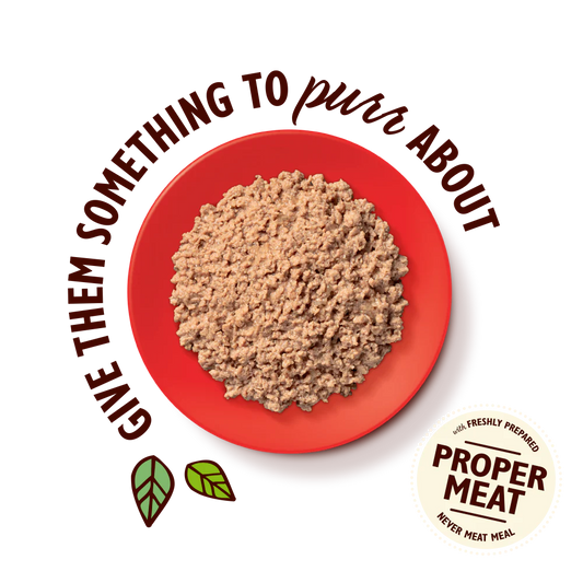 Lily's Kitchen Organic Paté for Cats Beef 85g