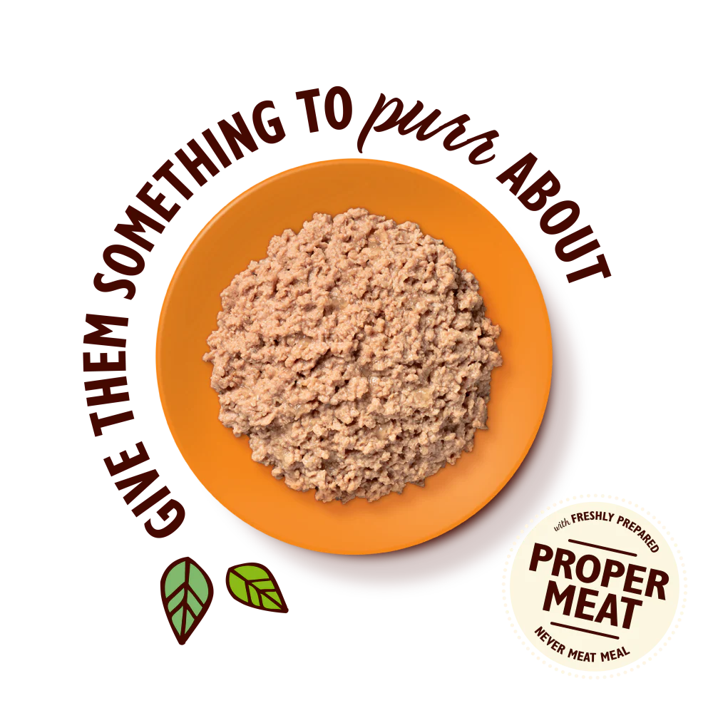 Lily's Kitchen Organic Paté for Cats Chicken 85g