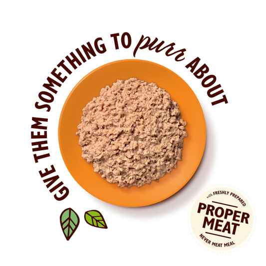 Lily's Kitchen Organic Paté for Cats Chicken 85g