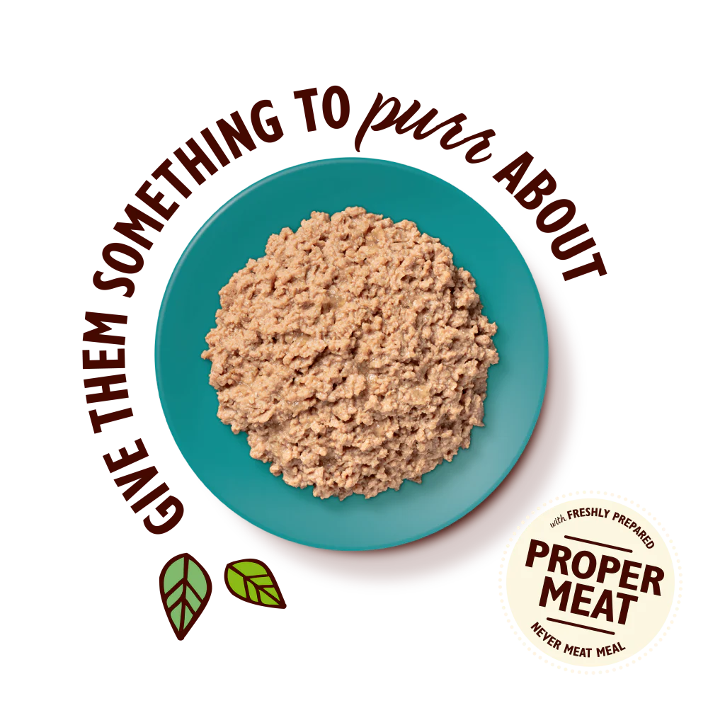 Lily's Kitchen Organic Paté for Cats Chicken with Fish 85g