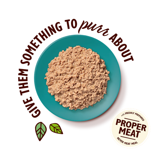 Lily's Kitchen Organic Paté for Cats Chicken with Fish 85g