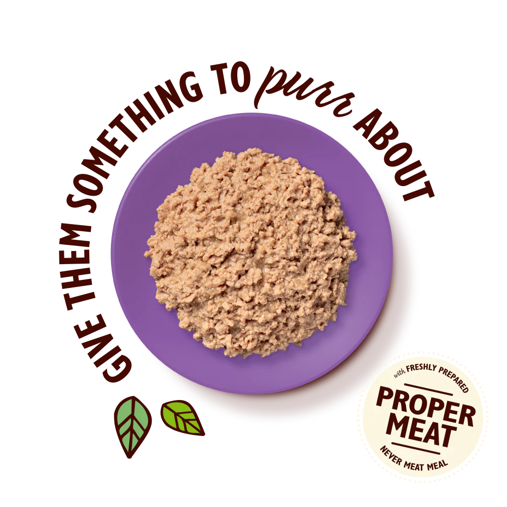 Lily's Kitchen Organic Paté for Cats Turkey 85g