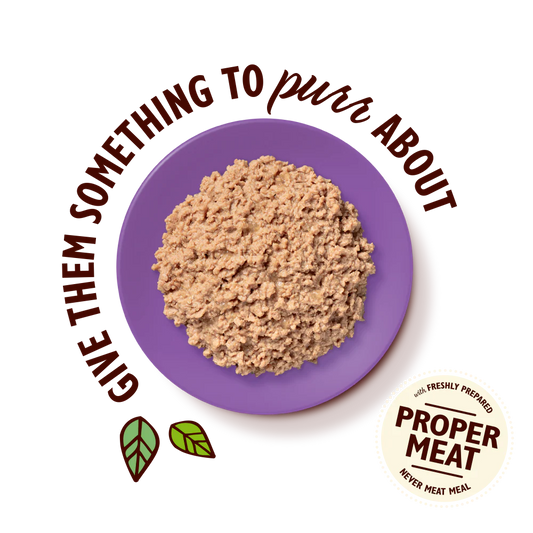 Lily's Kitchen Organic Paté for Cats Turkey 85g