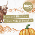 Load image into Gallery viewer, Eden Pumpkin Milk Chew Medium for Dogs
