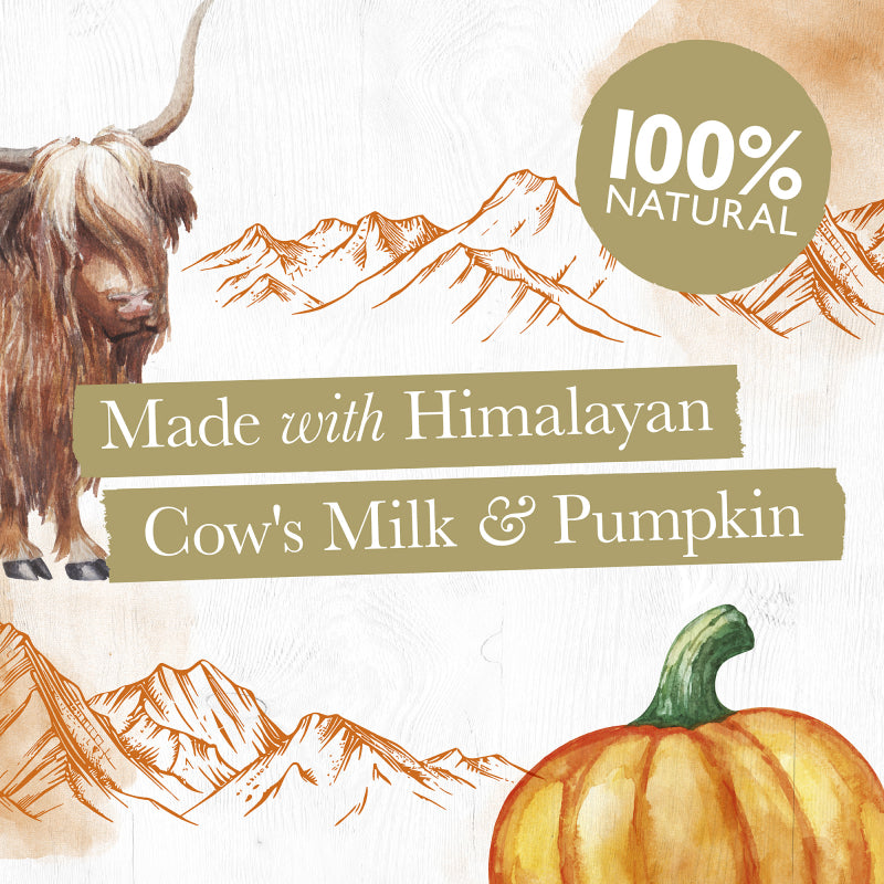 Eden Pumpkin Milk Chew Medium for Dogs